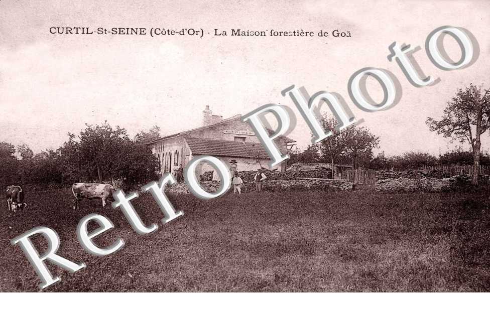 la maison forestiere de Goa