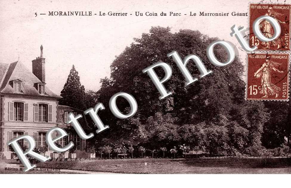 Le gerrier - un coin du parc - marronier geant