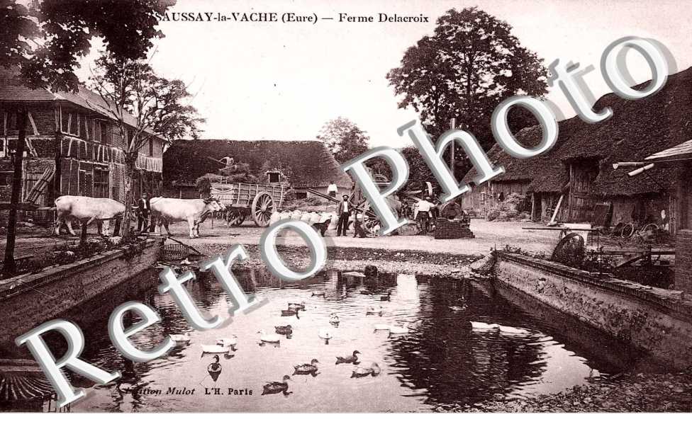 Saussay-la-Vache - Ferme Delacroix