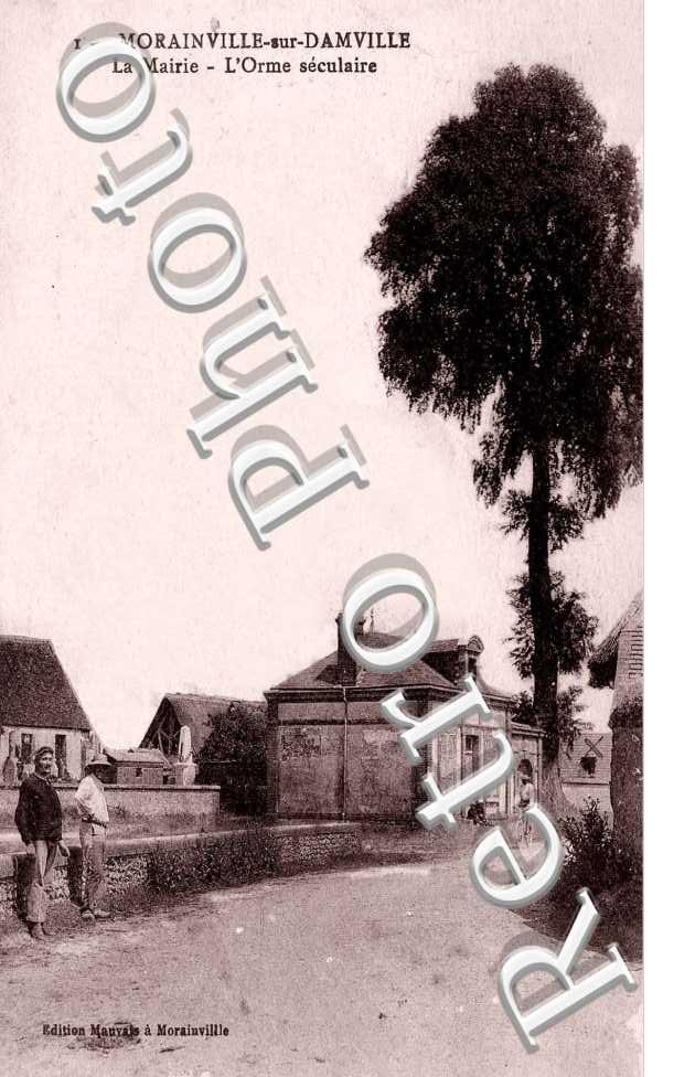La mairie - l&#039;Orme seculaire