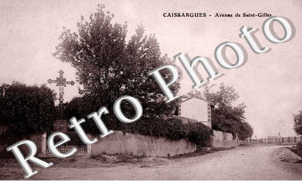 Avenue de saint Gilles