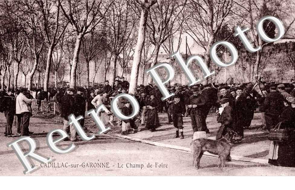 le champ de foire