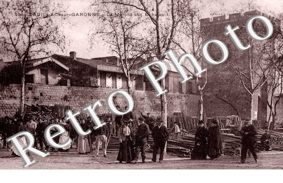 la Marche aux Echalas