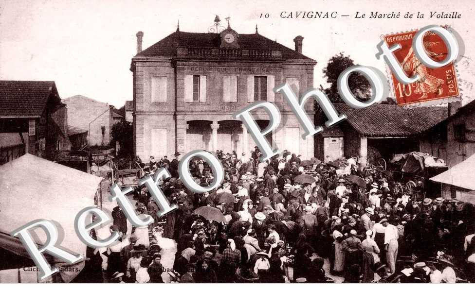 Le marche de la volaille