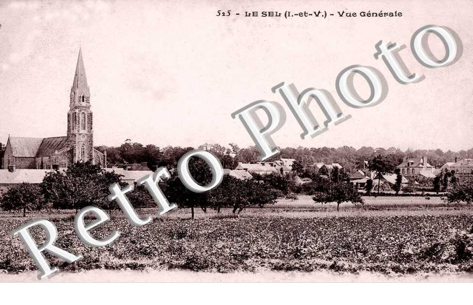 Vue Generale