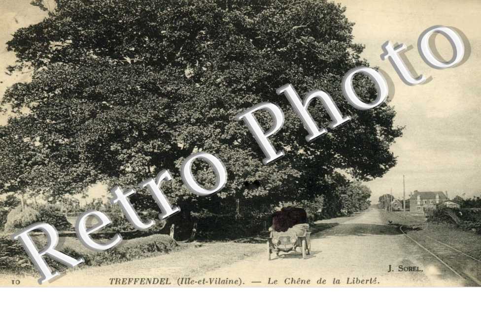 le Chene de la Liberte