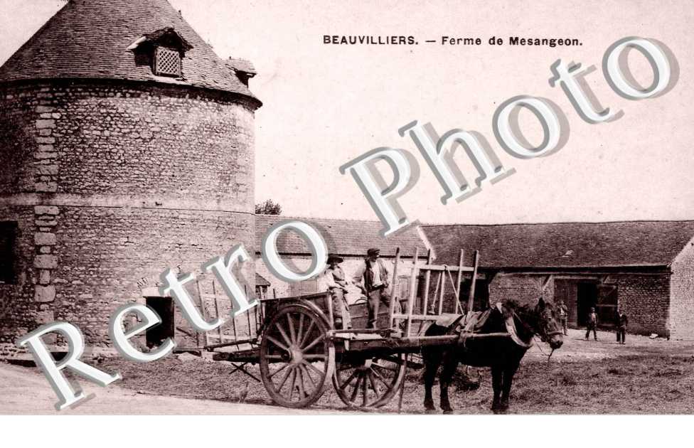 Ferme de Mesangeon