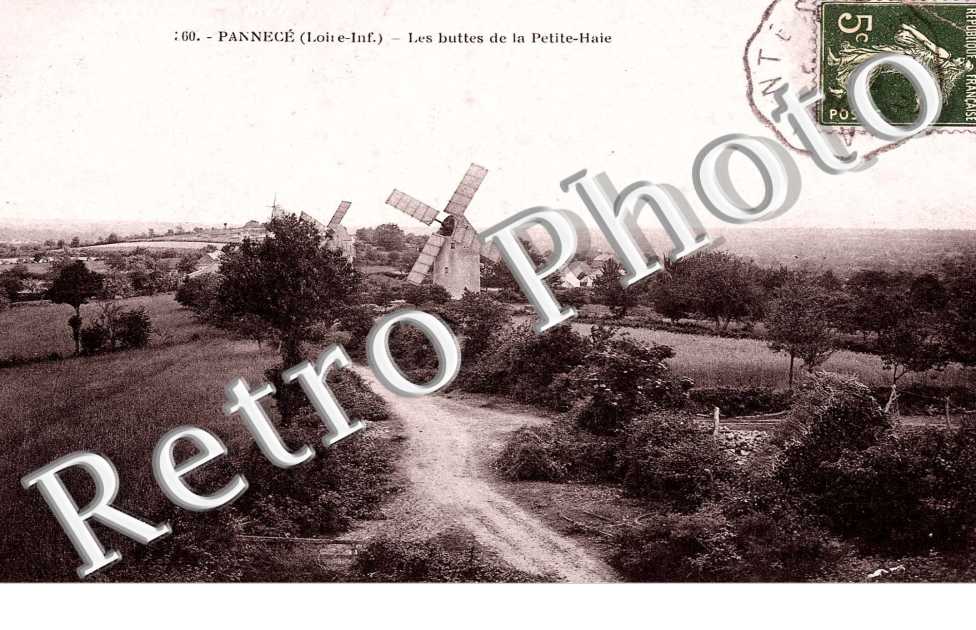 Les Buttes de la Petite-Haie