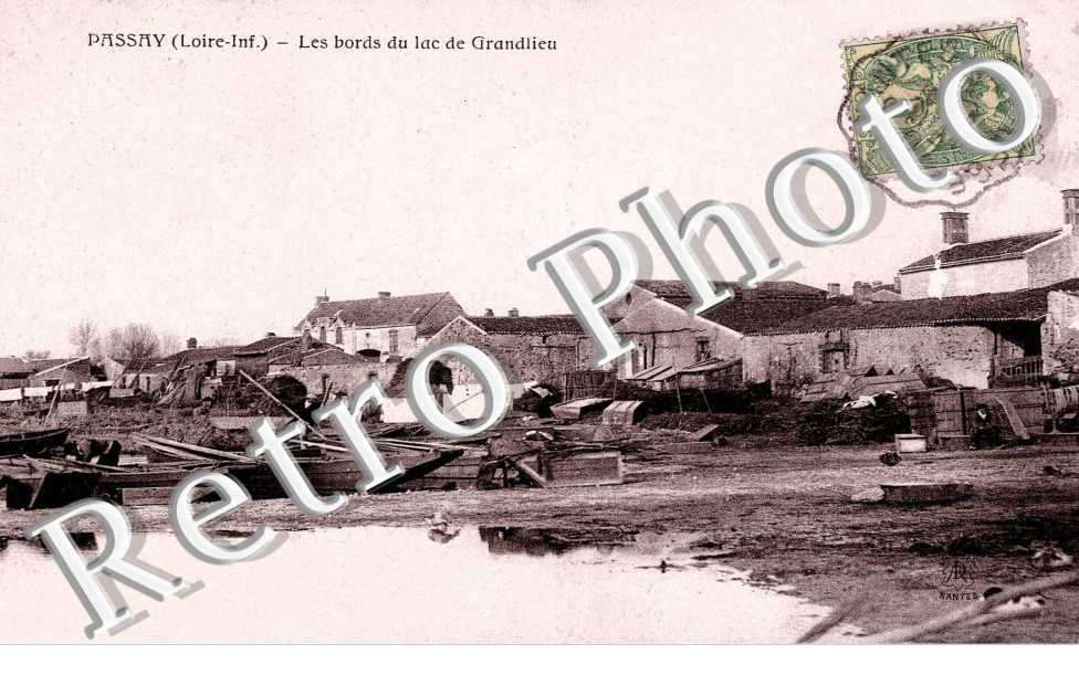 Les bords du lac de Grandlieu