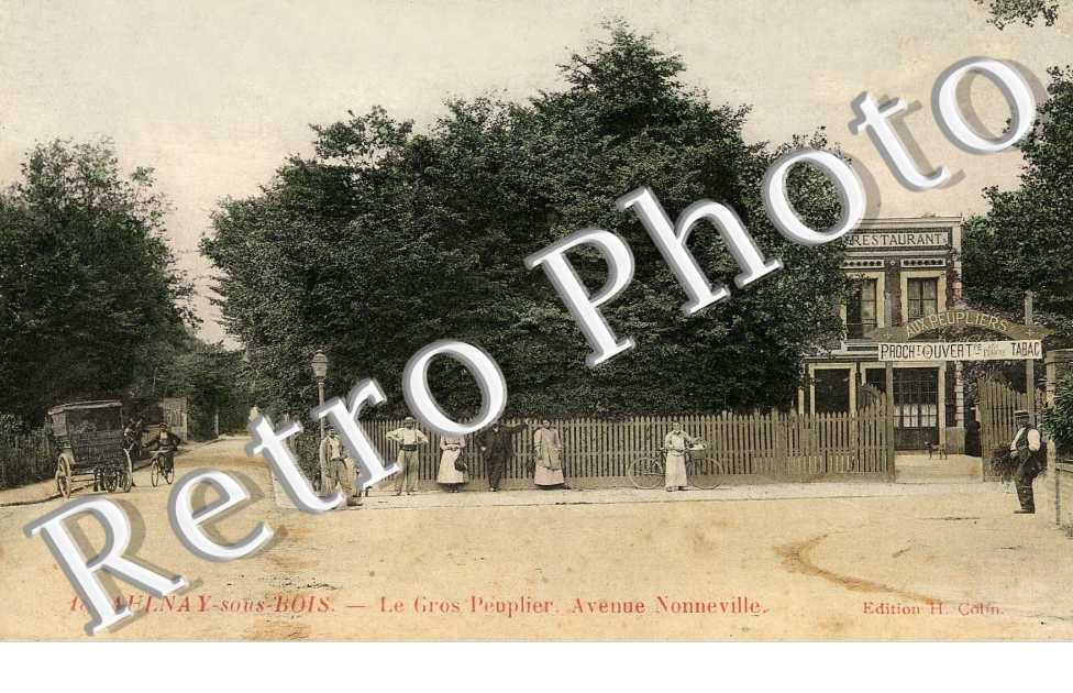 Le gros peuplier Avenue Nonneville - Restaurant "aux peupliers" (couleur)