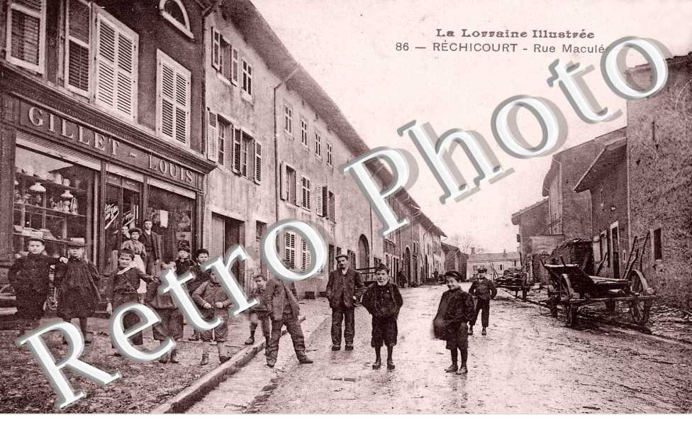 RUE MACULEE
