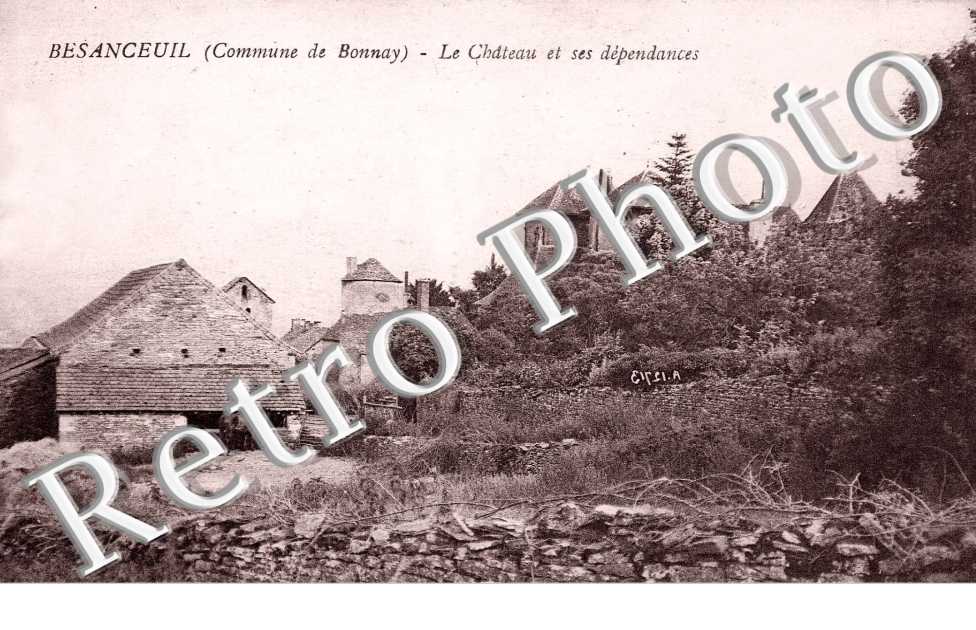 Chateau  et ses dependances