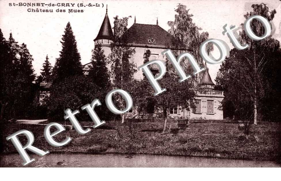 CHATEAU DES MUES
