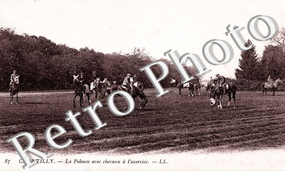 LA PELOUSE avec cheavux a l&#039;exercie