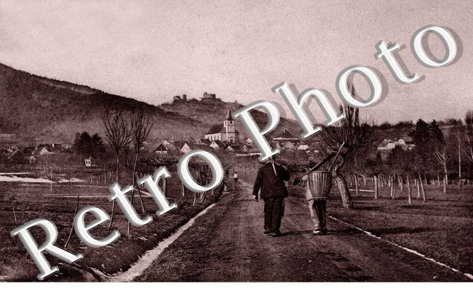 (vue generale )