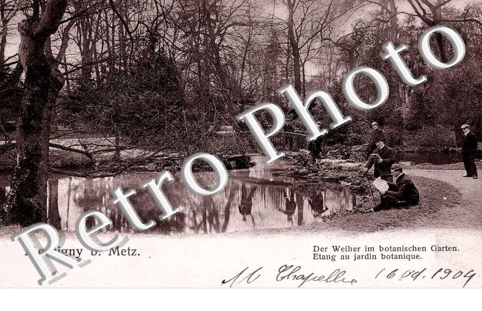 Etang au jardin botanique -  Nels serie 105 n° 157