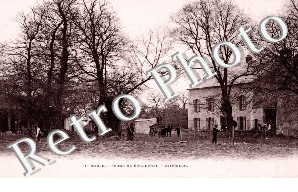 Ferme de bois Henri