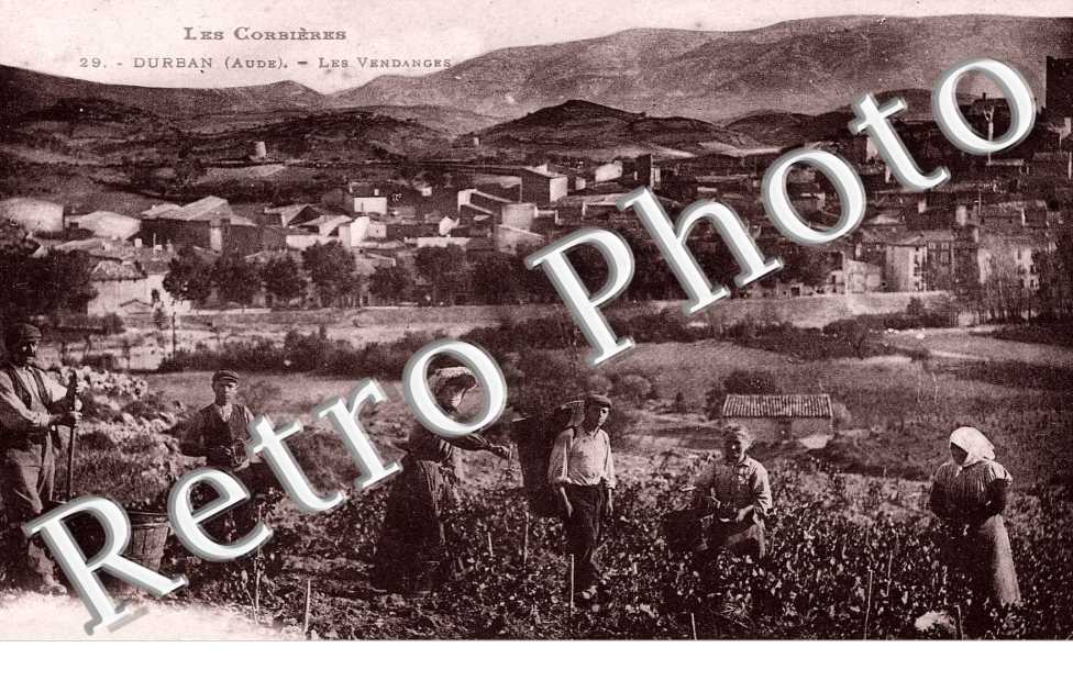 LES VENDANGES