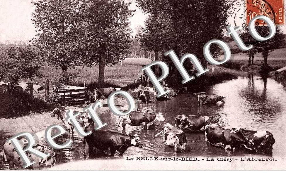 la clery - l&#039;abreuvoir