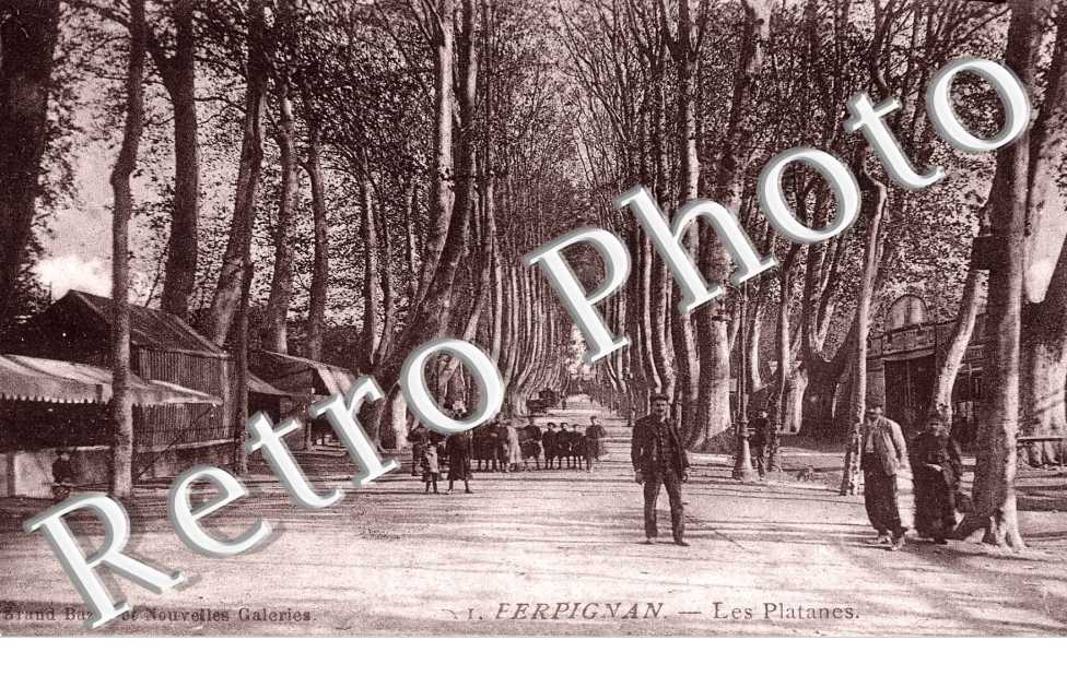 LES PLATANES