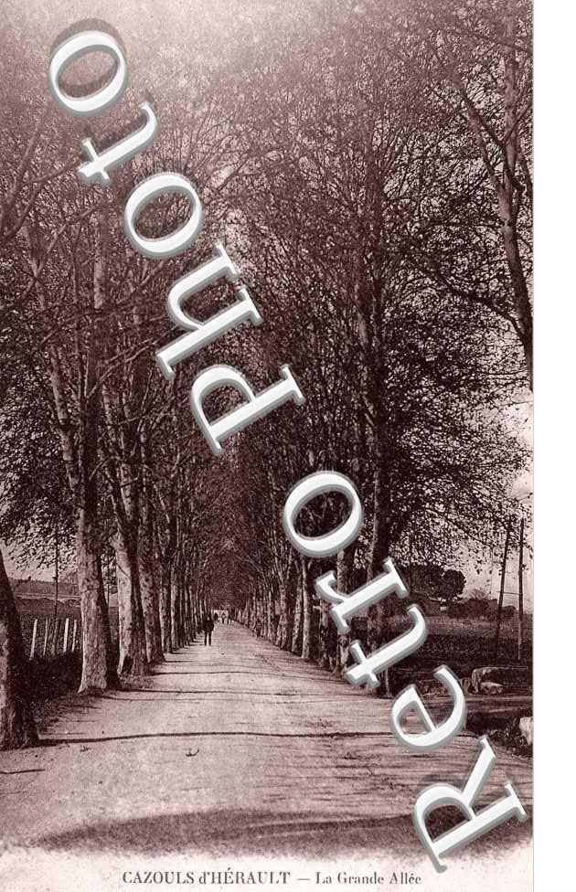 La grande allee