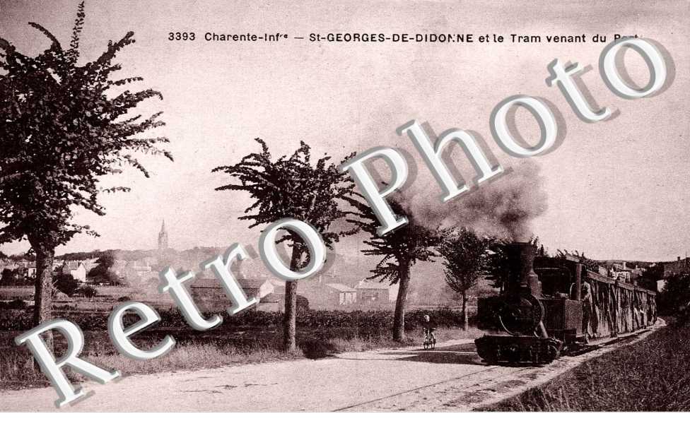 LE TRAM VENANT DU PORT