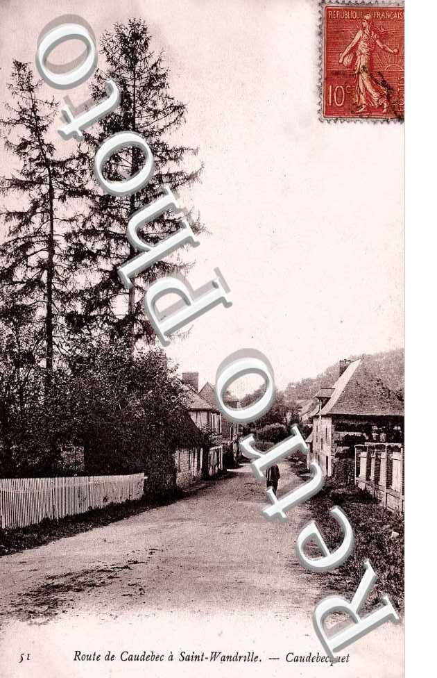 Route de Coudebec a Saint Wandrille - Coudebecquet