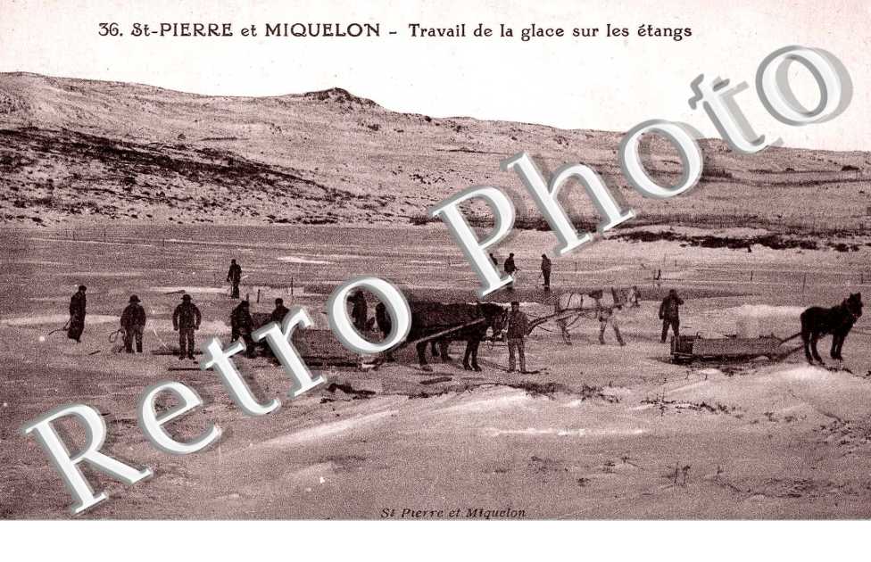 Travail de la Glace sur les Etangs