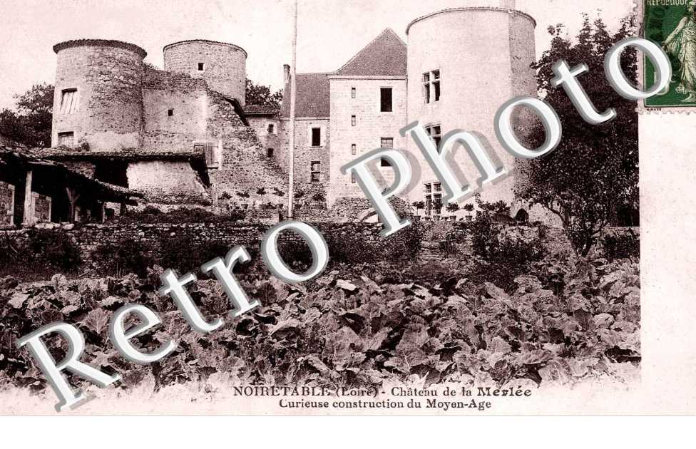 CHATEAU DE LA MESLES