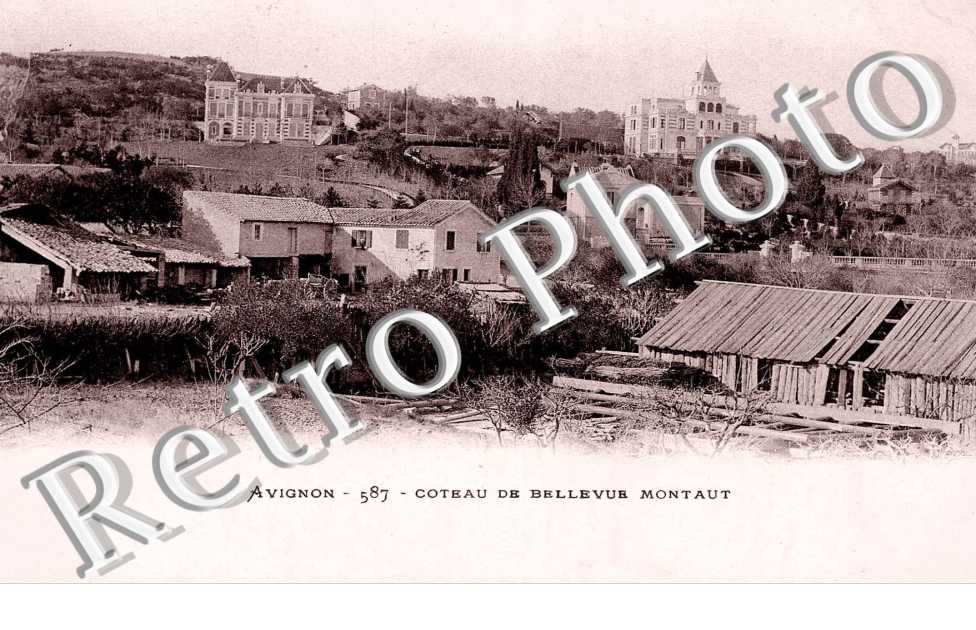 Coteau de Bellevue Montaut