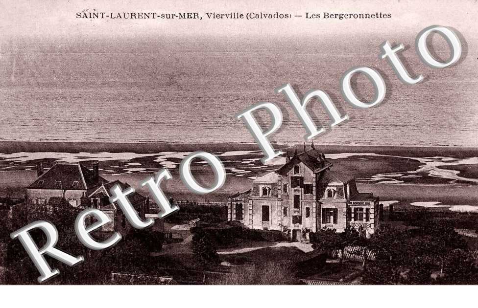 Les Bergeronnettes