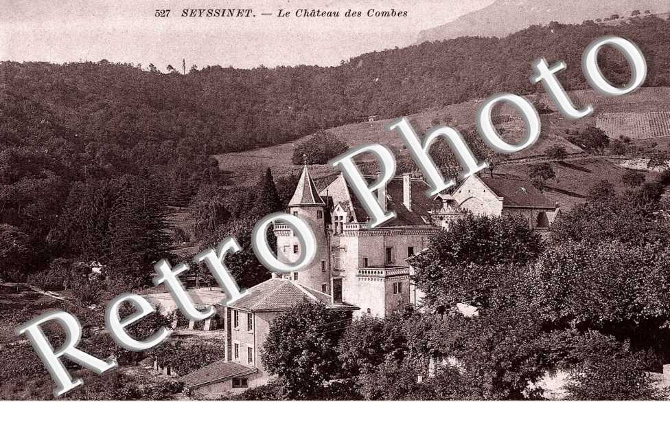 le chateau des Combes