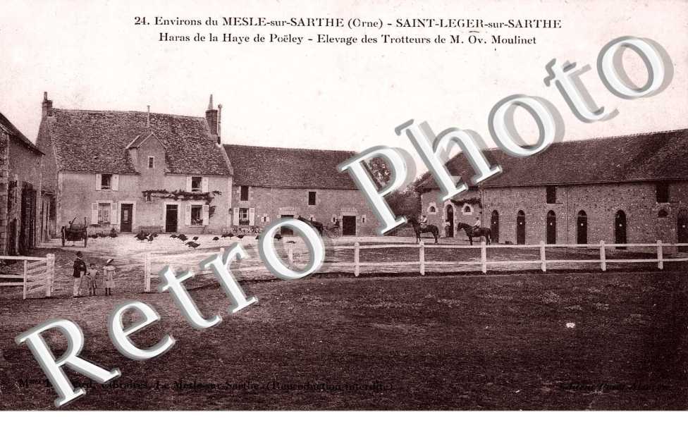 Haras de la Haye de Poëley
