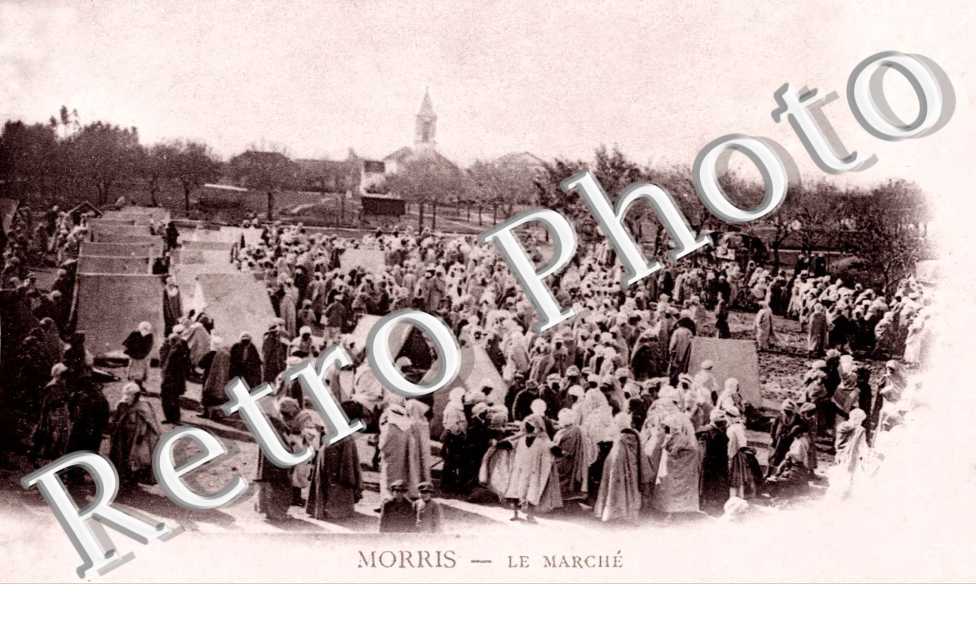 Le Marche