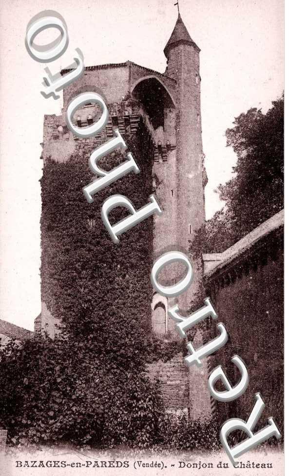 Donjon du Chateau