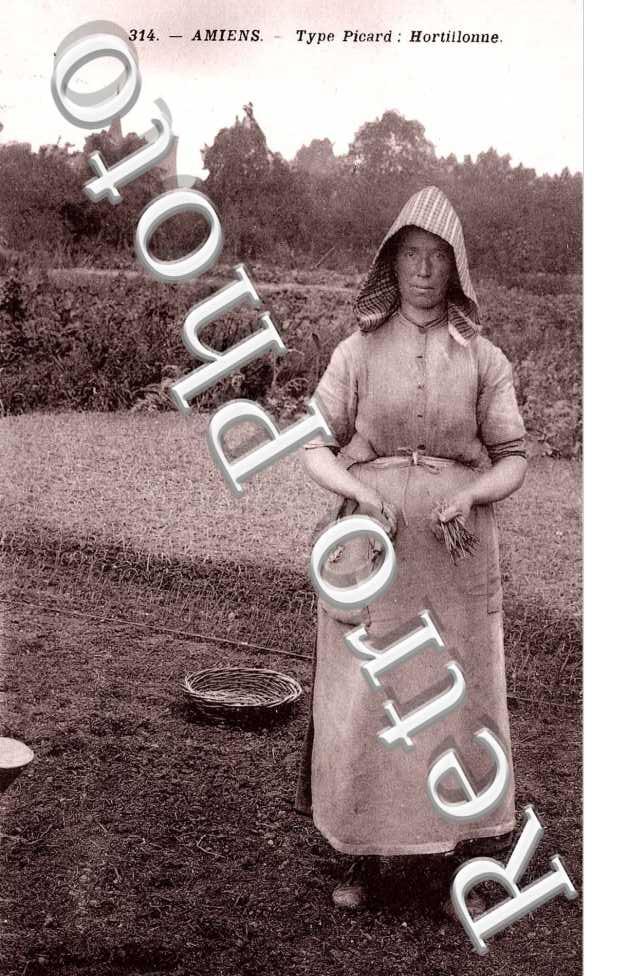 Type Picard : Hortillonne