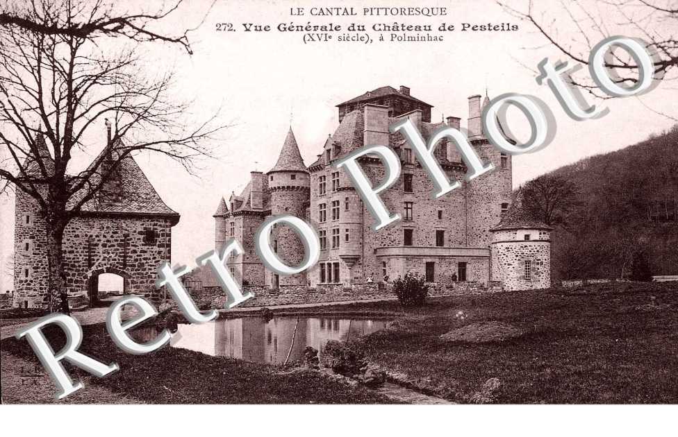 Vue generale  du chateau de Pesteils