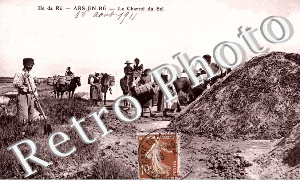 le charroi du sel