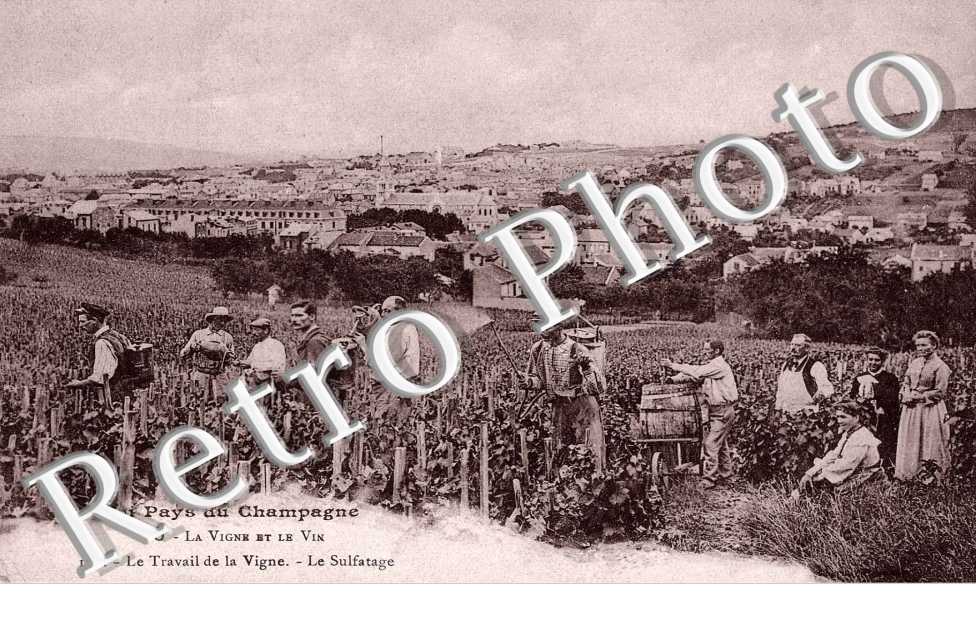 Le travail de la vigne - le Sulfutage