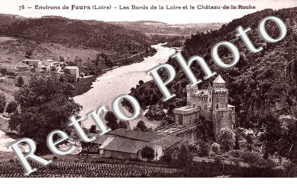 Les bords de la Loire et le chateau de la Roche