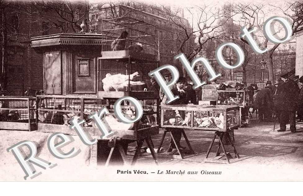 le marche aux oiseaux