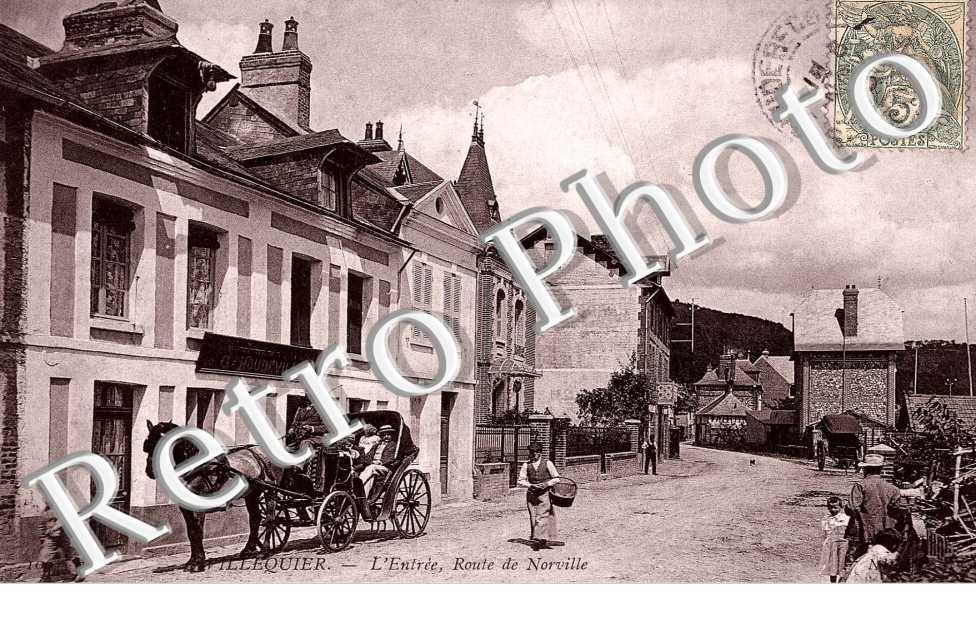 Entree - Route de Norville - attelage de cheval