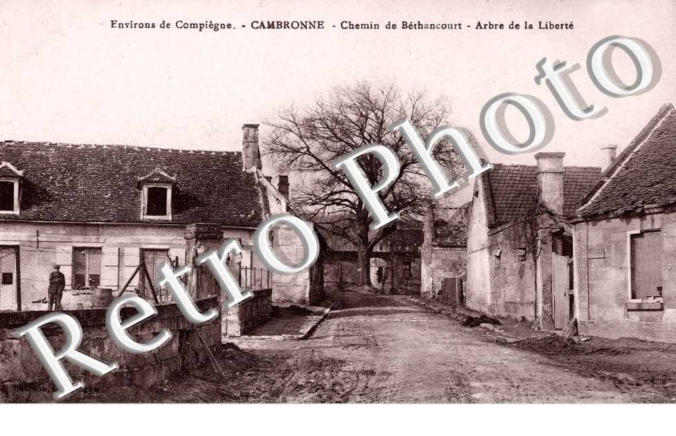 Chemin de Bethancourt Arbre de la Liberte