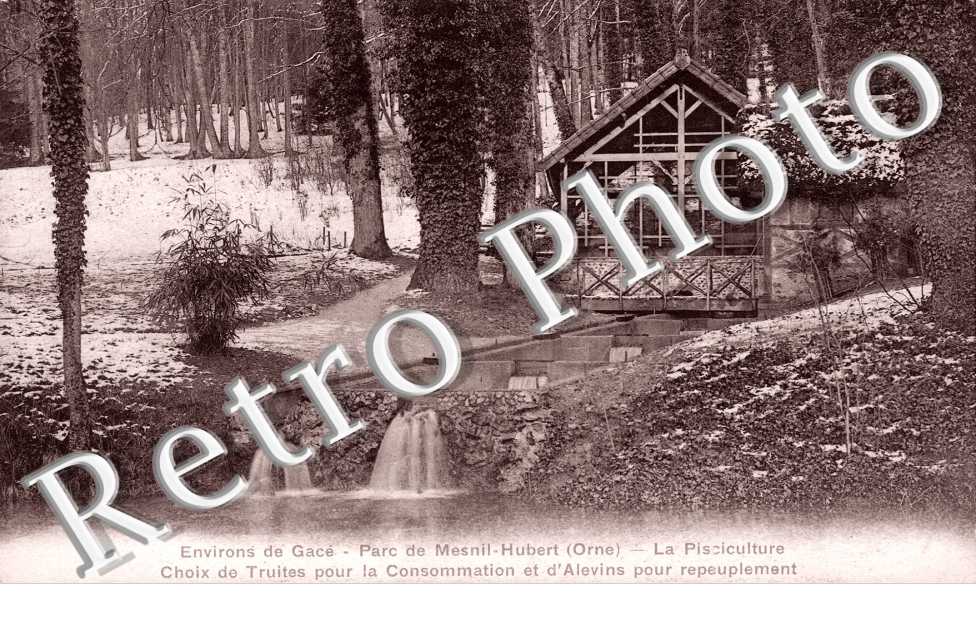Parc de Mesnil-Hubert, la Pisciculture, Choix de truites