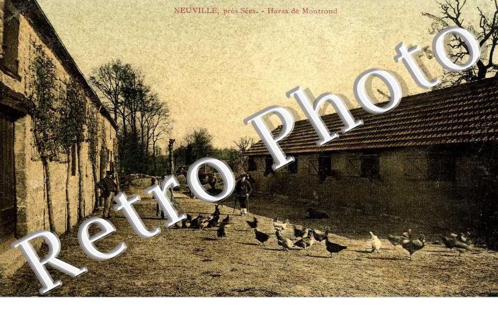Haras de Montrond