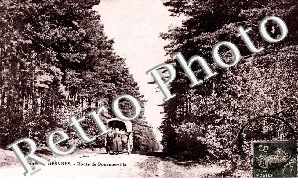 foret de Desvres