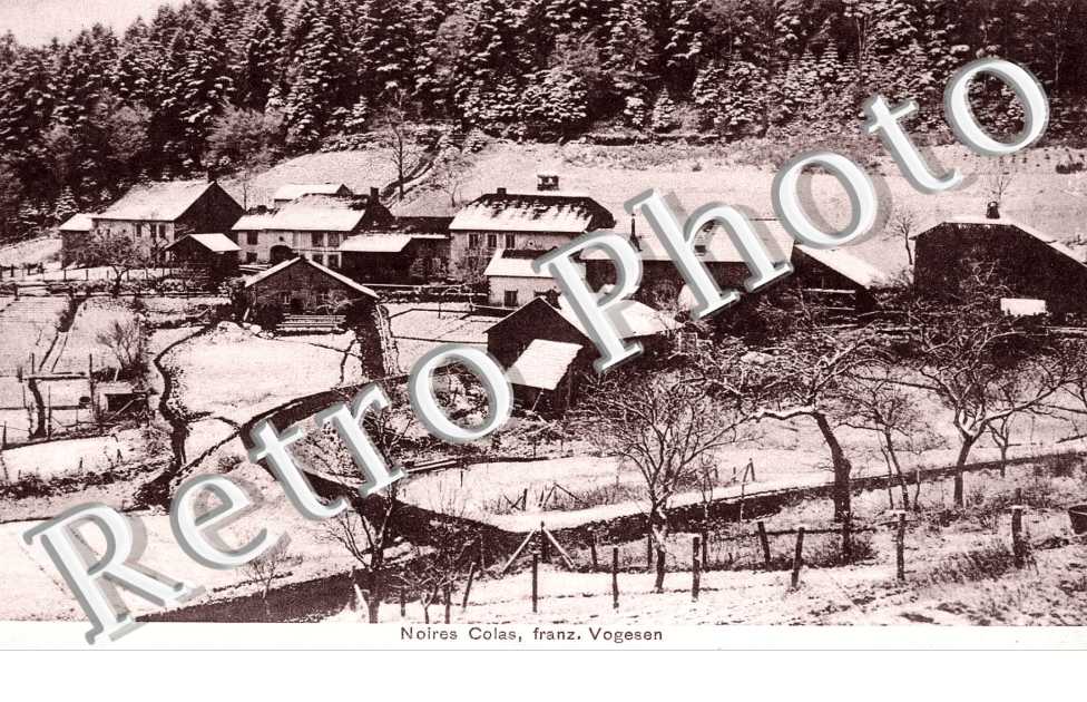 Noires Colas  - feldpostkarte