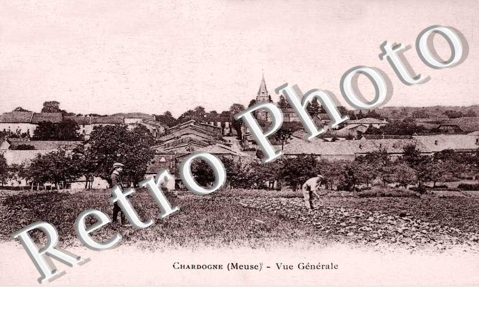 Vue generale