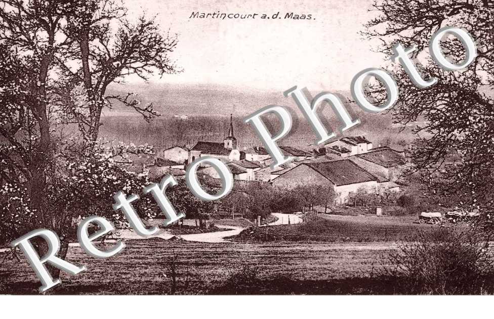 Vue générale 
