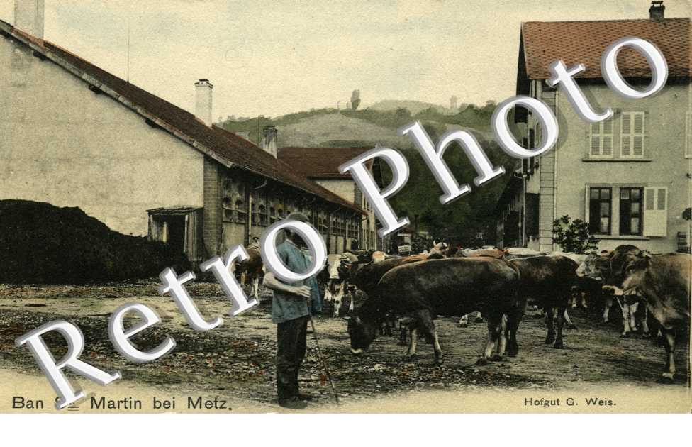 Ban St Martin bei Metz  Hofgut G. Weis